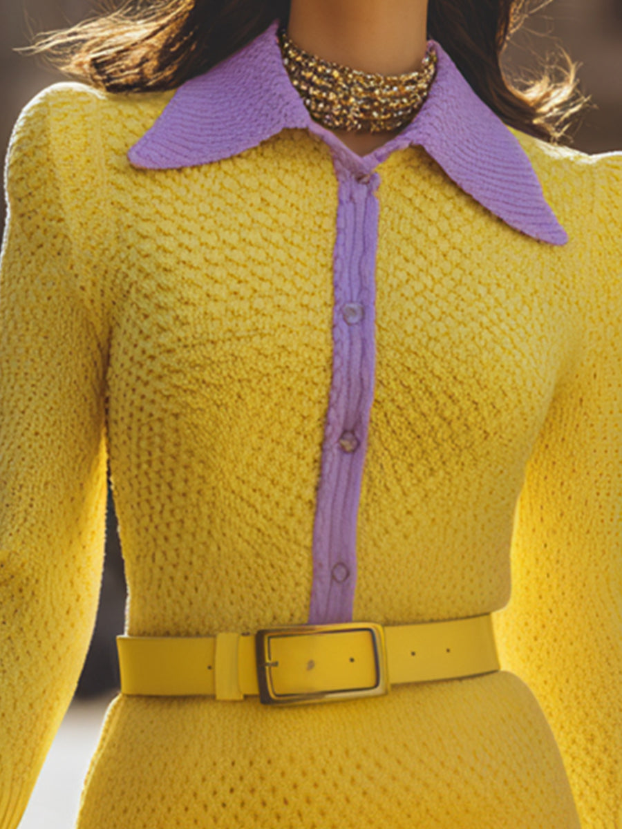Elegant Colorblock Knit Belted Dress MollyBoo